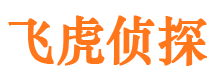 金湾调查公司